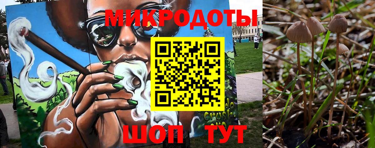 Галлюциногенные грибы Psilocybe Видное