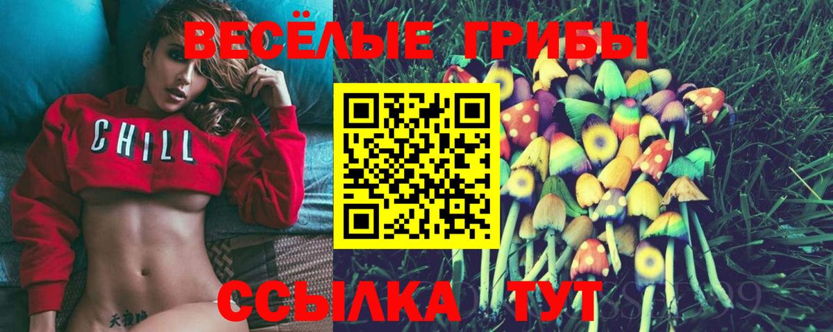Видное  Псилоцибиновые грибы Cubensis  купить закладку  Псилоцибиновые грибы мицелий  Вход с VPN 